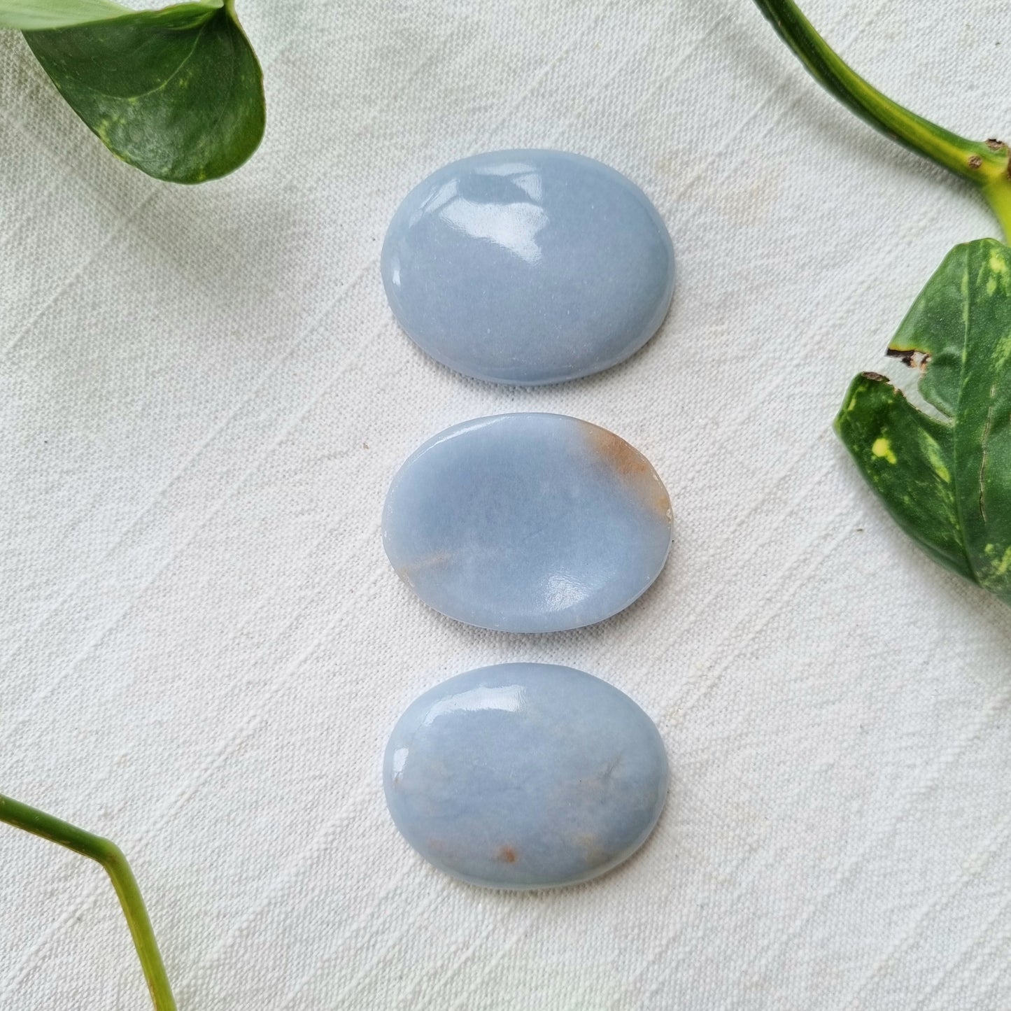 Angelite Worry Stone - Sparrow and Fox