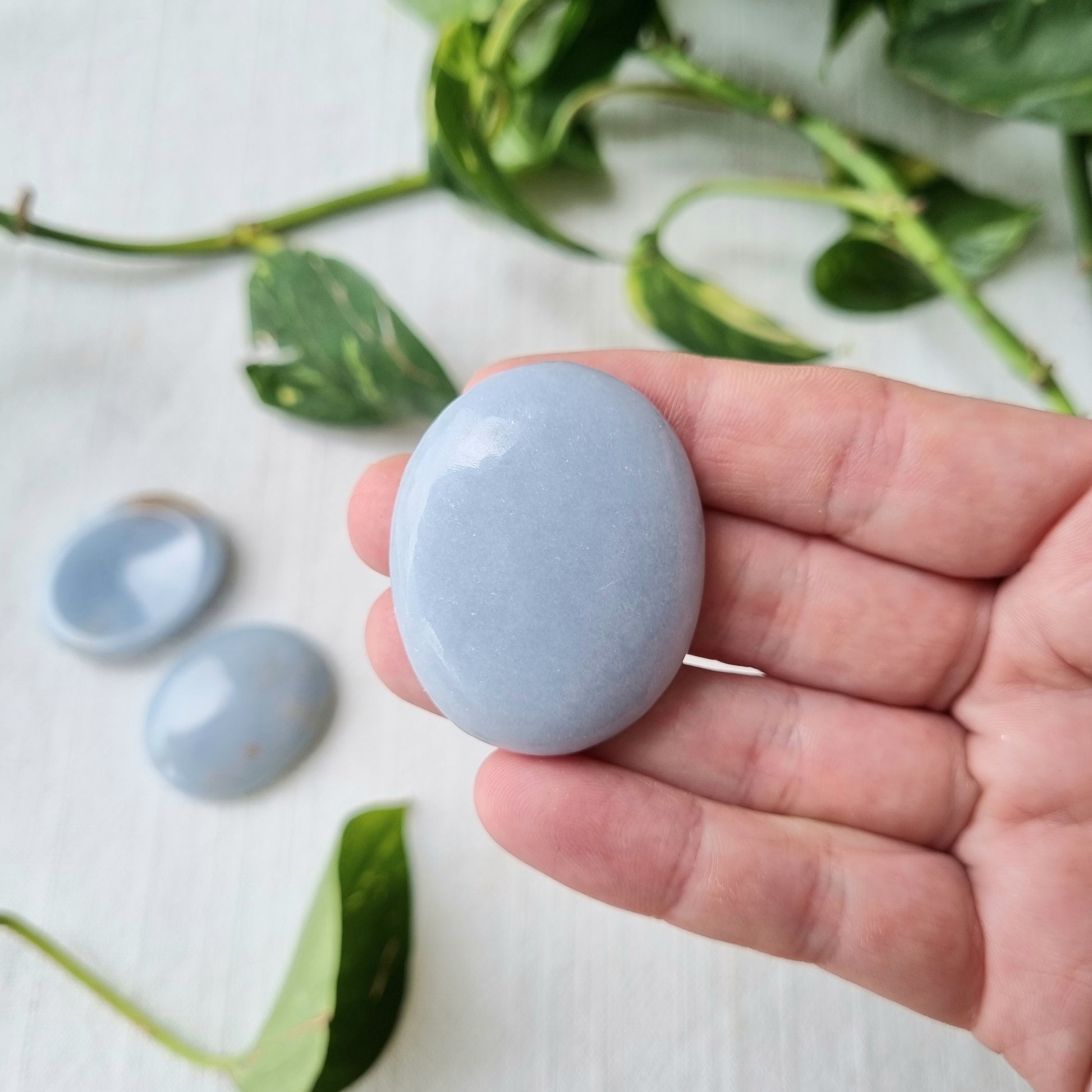 Angelite Worry Stone - Sparrow and Fox