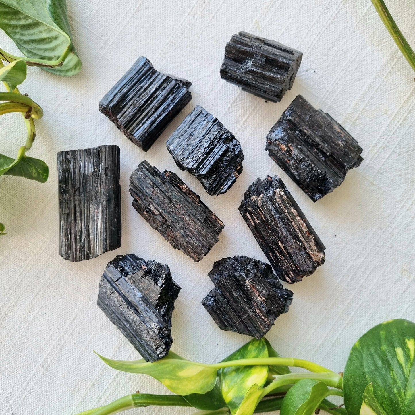 Black Tourmaline Raw - Sparrow and Fox