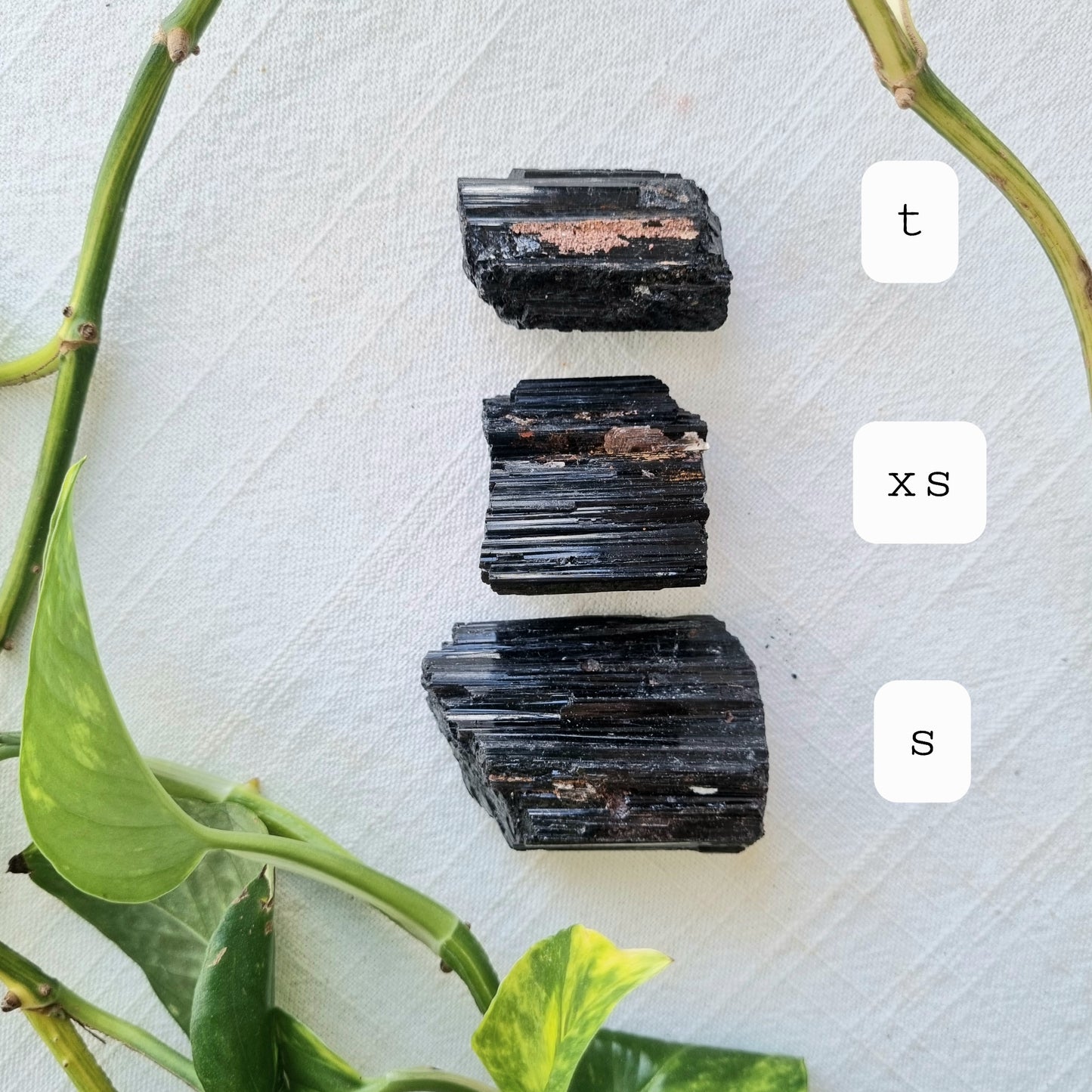 Black Tourmaline Raw - Sparrow and Fox