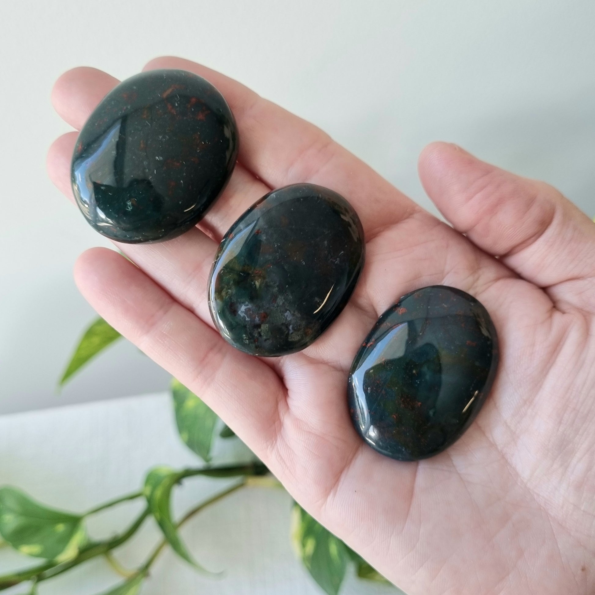 Bloodstone Worry Stone - Sparrow and Fox