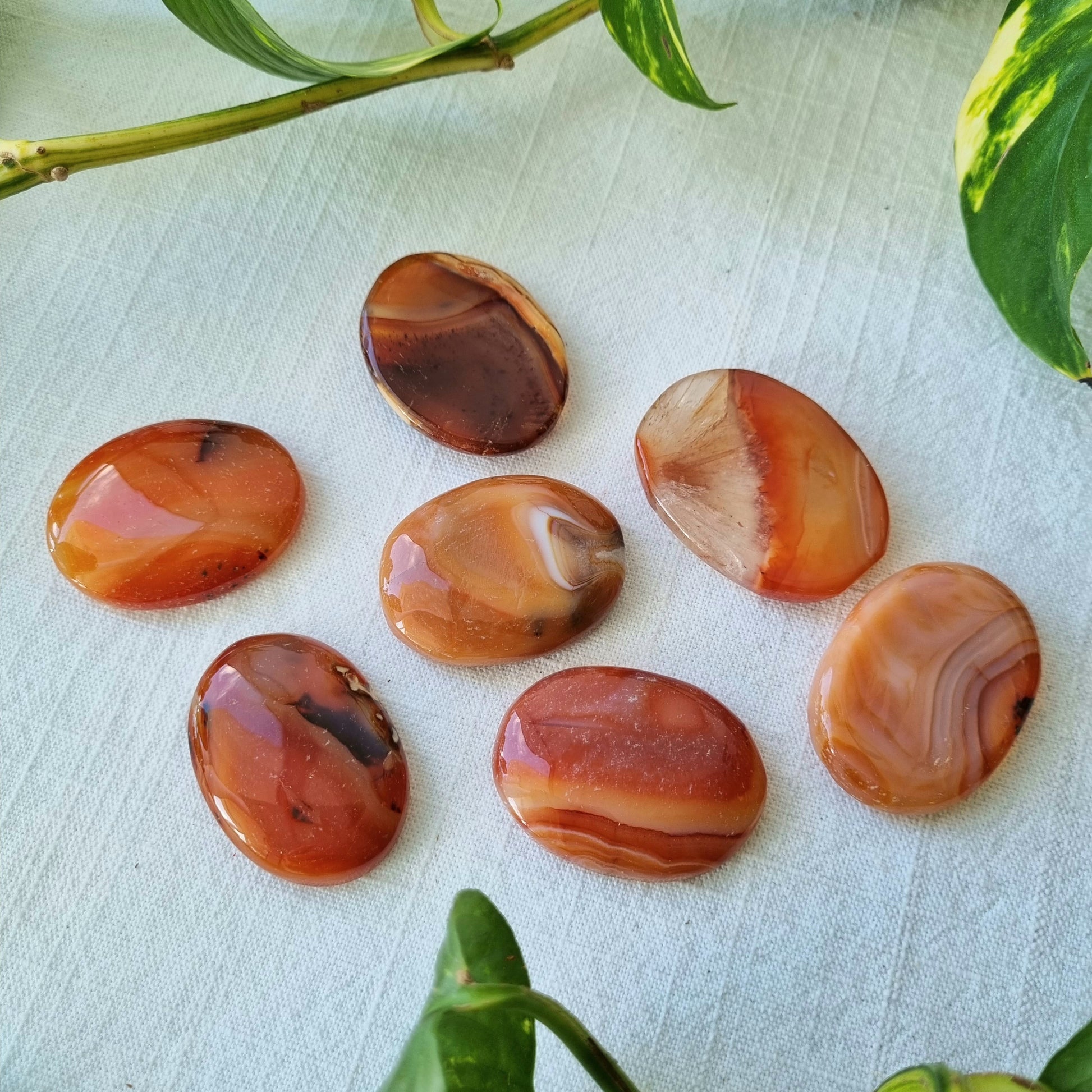 Carnelian Worry Stone - Sparrow and Fox