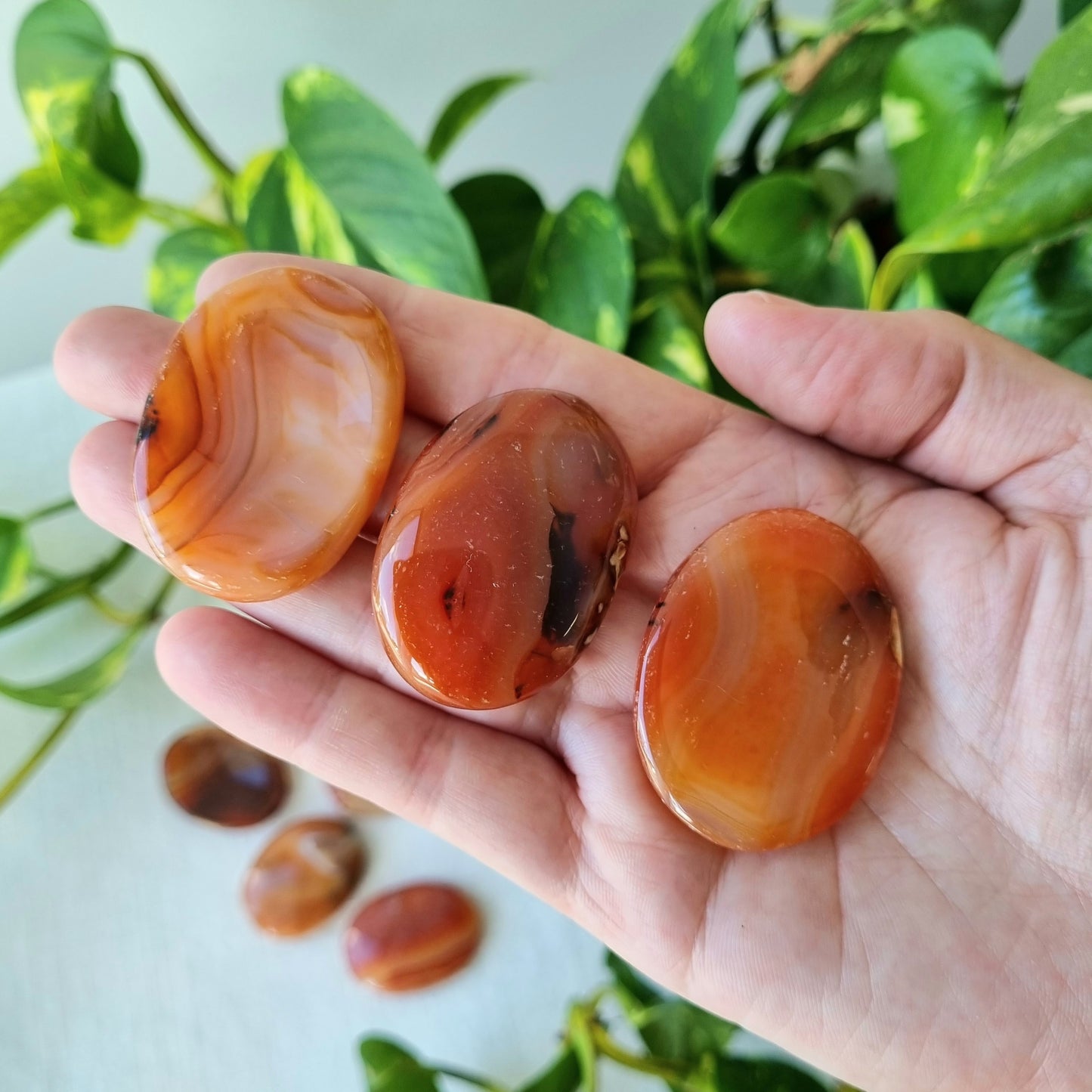 Carnelian Worry Stone - Sparrow and Fox