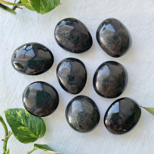 Black Tourmaline Palmstone - Sparrow and Fox