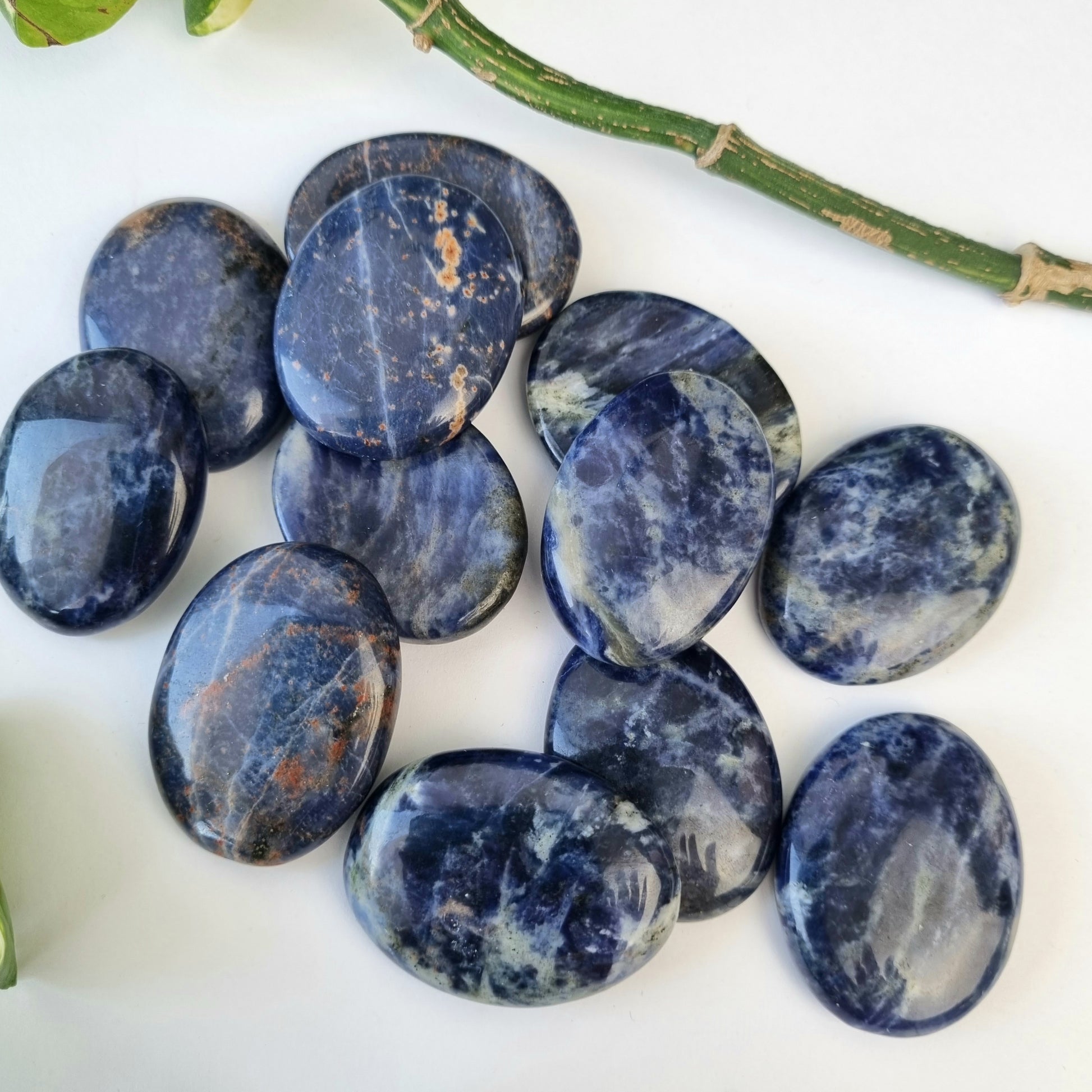 Sodalite Worry Stone - Sparrow and Fox