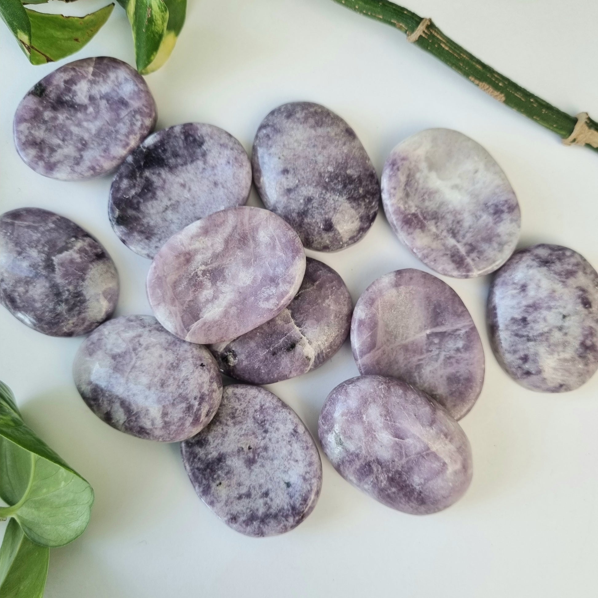 Lepidolite Worry Stone - Sparrow and Fox