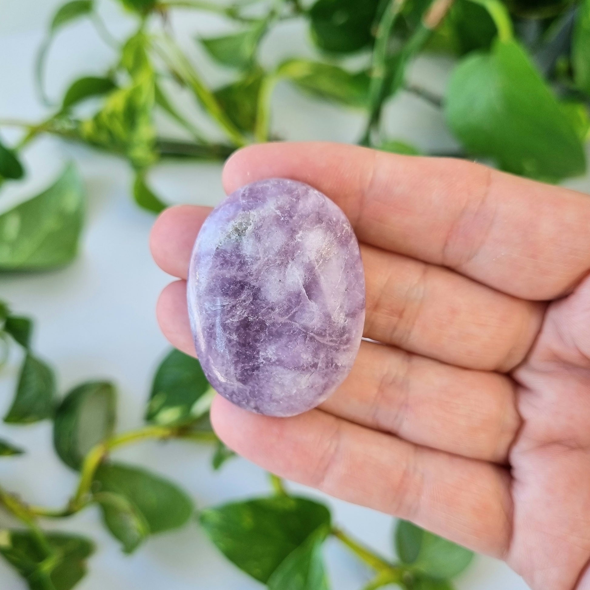 Lepidolite Worry Stone - Sparrow and Fox