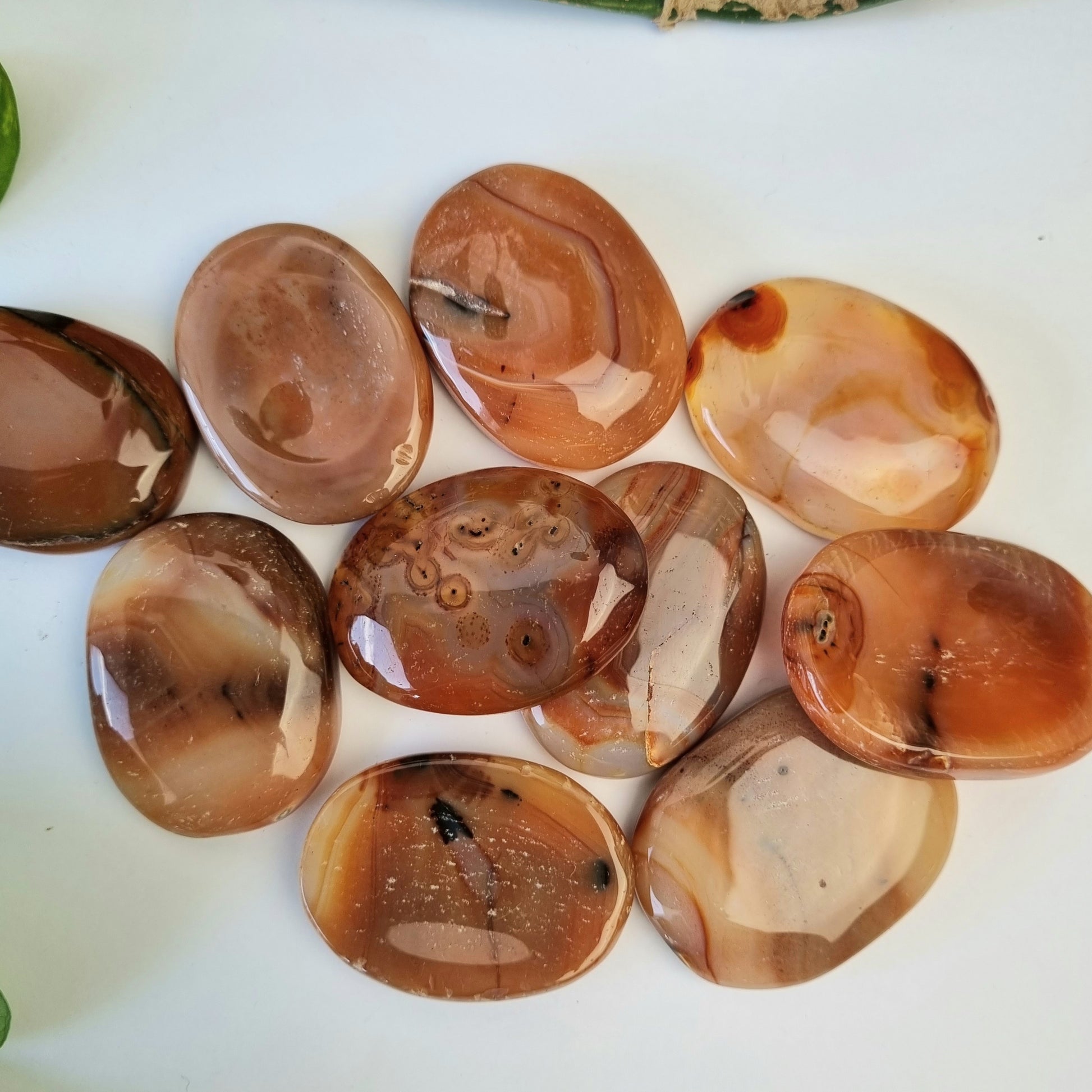 Carnelian Worry Stone - Sparrow and Fox