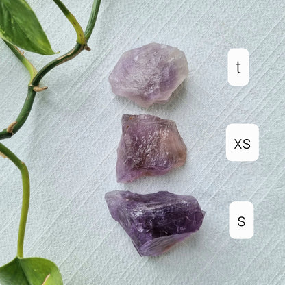 Amethyst Raw - Brazil - Sparrow and Fox