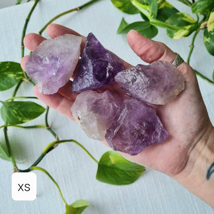 Amethyst Raw - Brazil - Sparrow and Fox