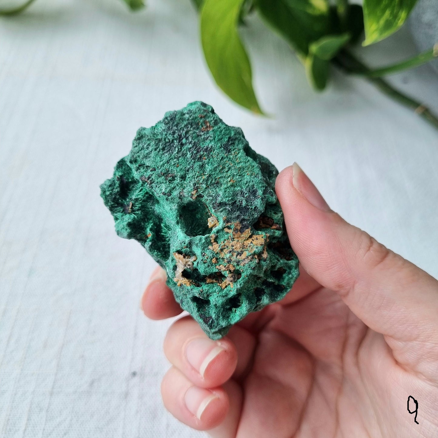 Fibrous Malachite Specimen - Congo - 131g - Sparrow and Fox