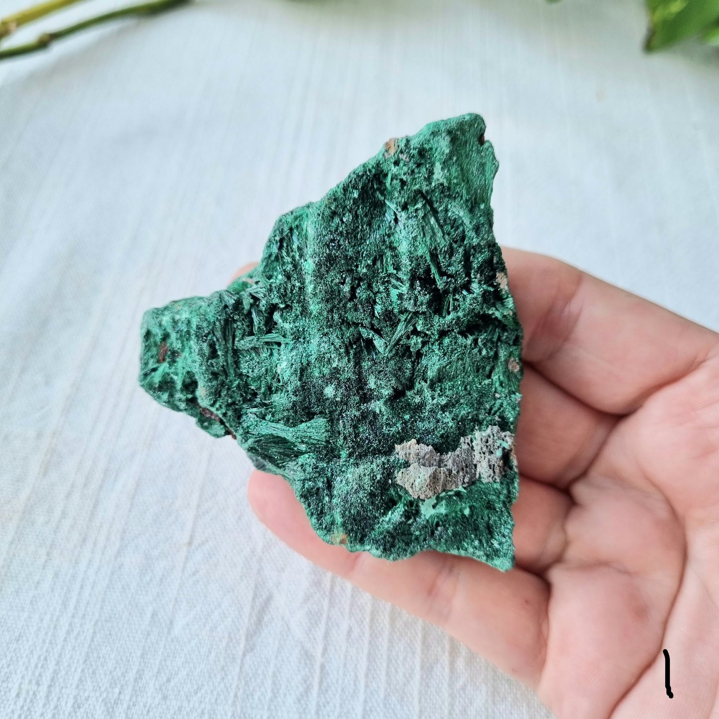 Fibrous Malachite Specimen - Congo - 111g - Sparrow and Fox