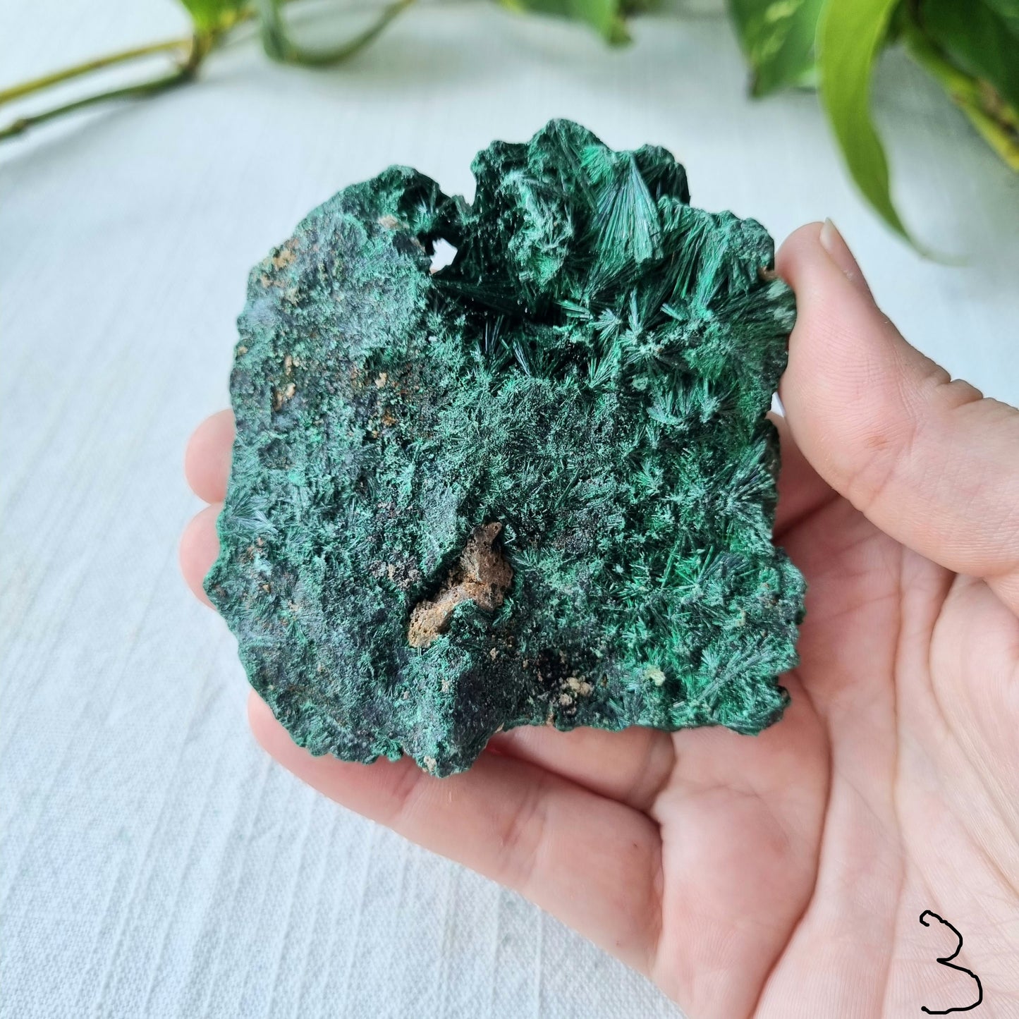 Fibrous Malachite Specimen - Congo - 137g - Sparrow and Fox