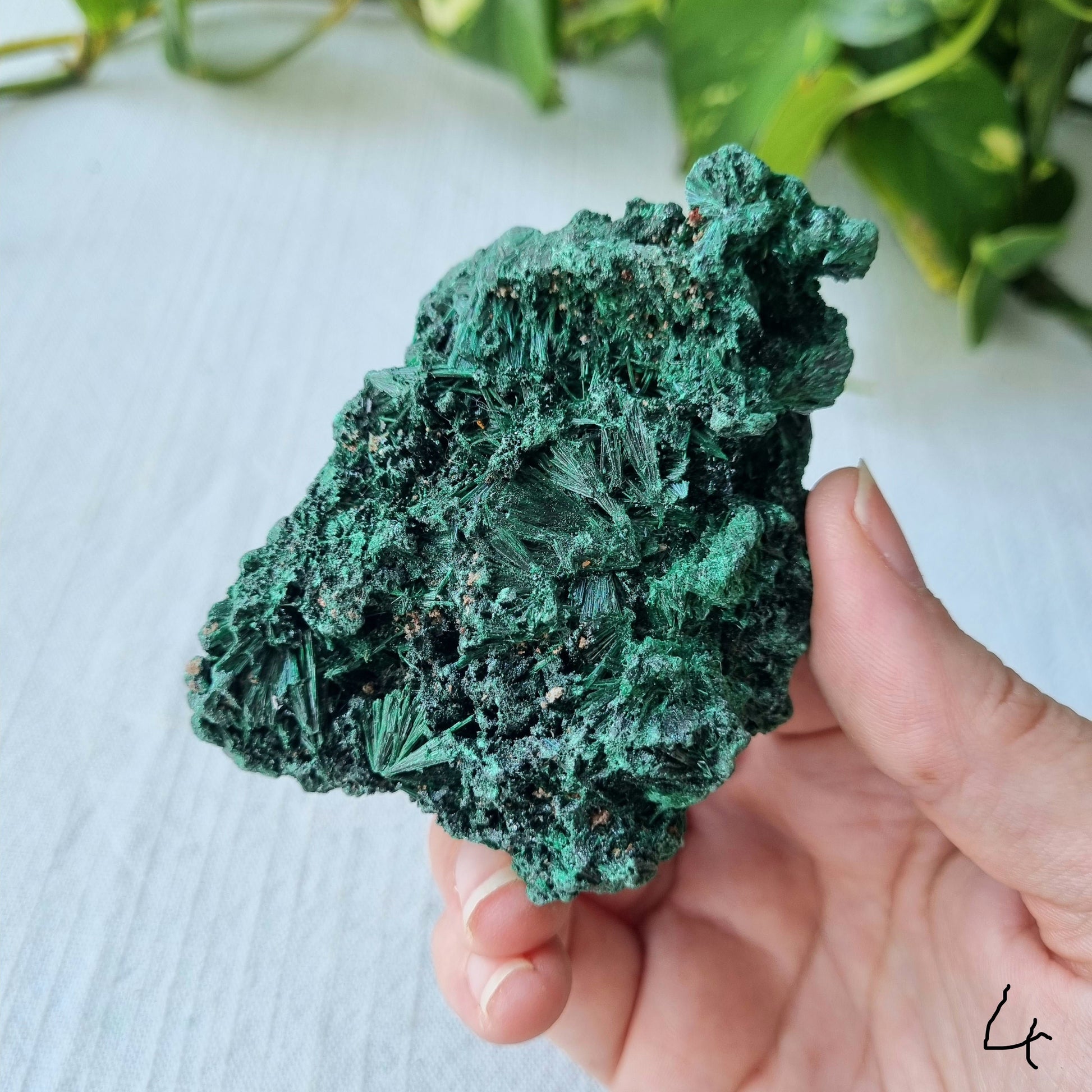 Fibrous Malachite Specimen - Congo - 165g - Sparrow and Fox