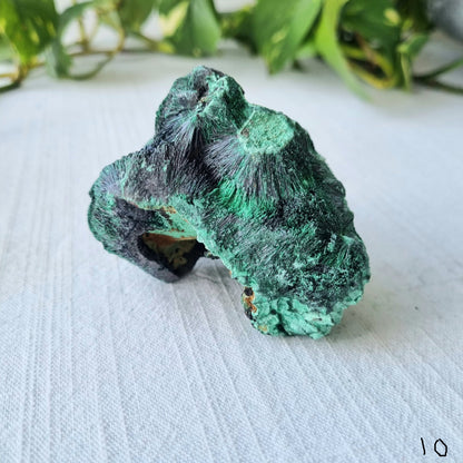 Fibrous Malachite Specimen - Congo - 285g - Sparrow and Fox