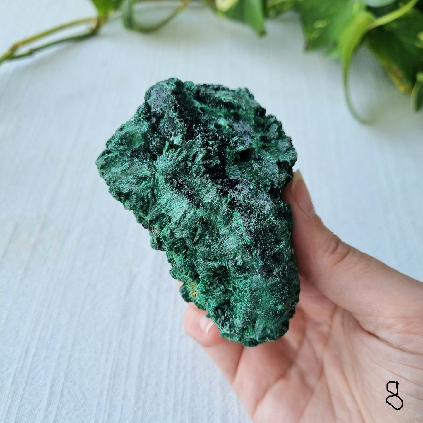 Fibrous Malachite Specimen - Congo - 249g - Sparrow and Fox