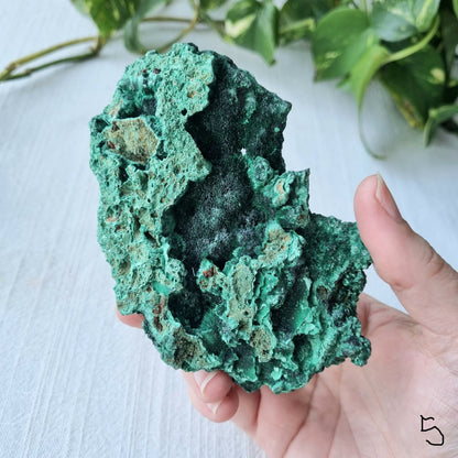 Fibrous Malachite Specimen - Congo - 227g - Sparrow and Fox