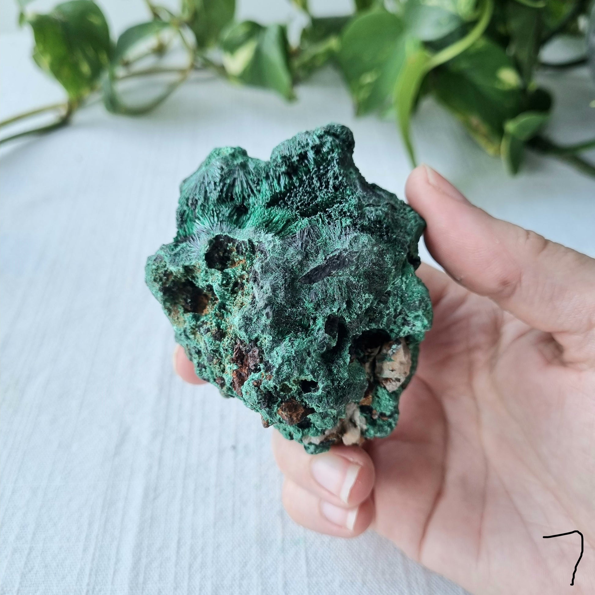 Fibrous Malachite Specimen - Congo - 228g - Sparrow and Fox