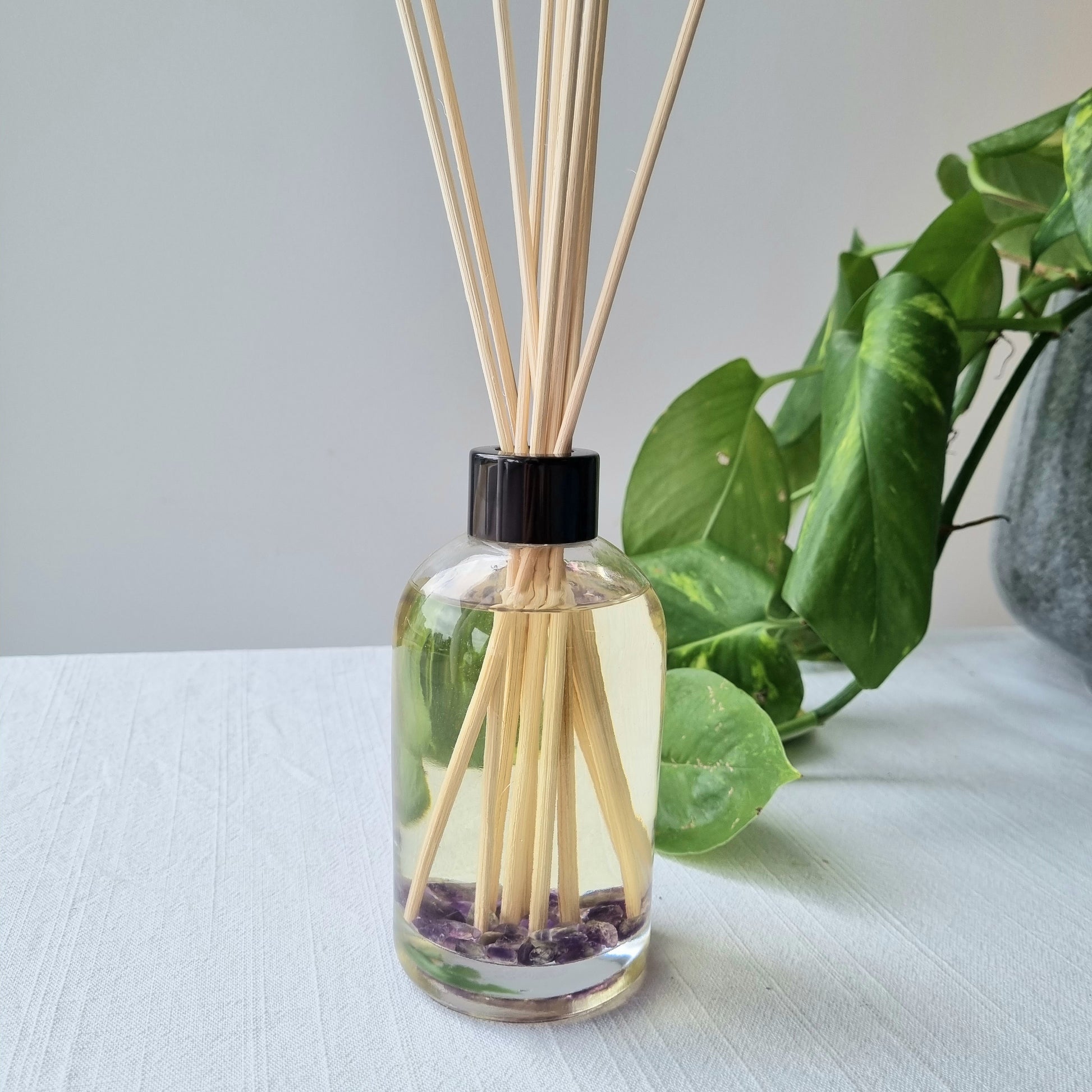 Amethyst Scented Reed Diffuser - Limited Edition February - Sparrow and Fox