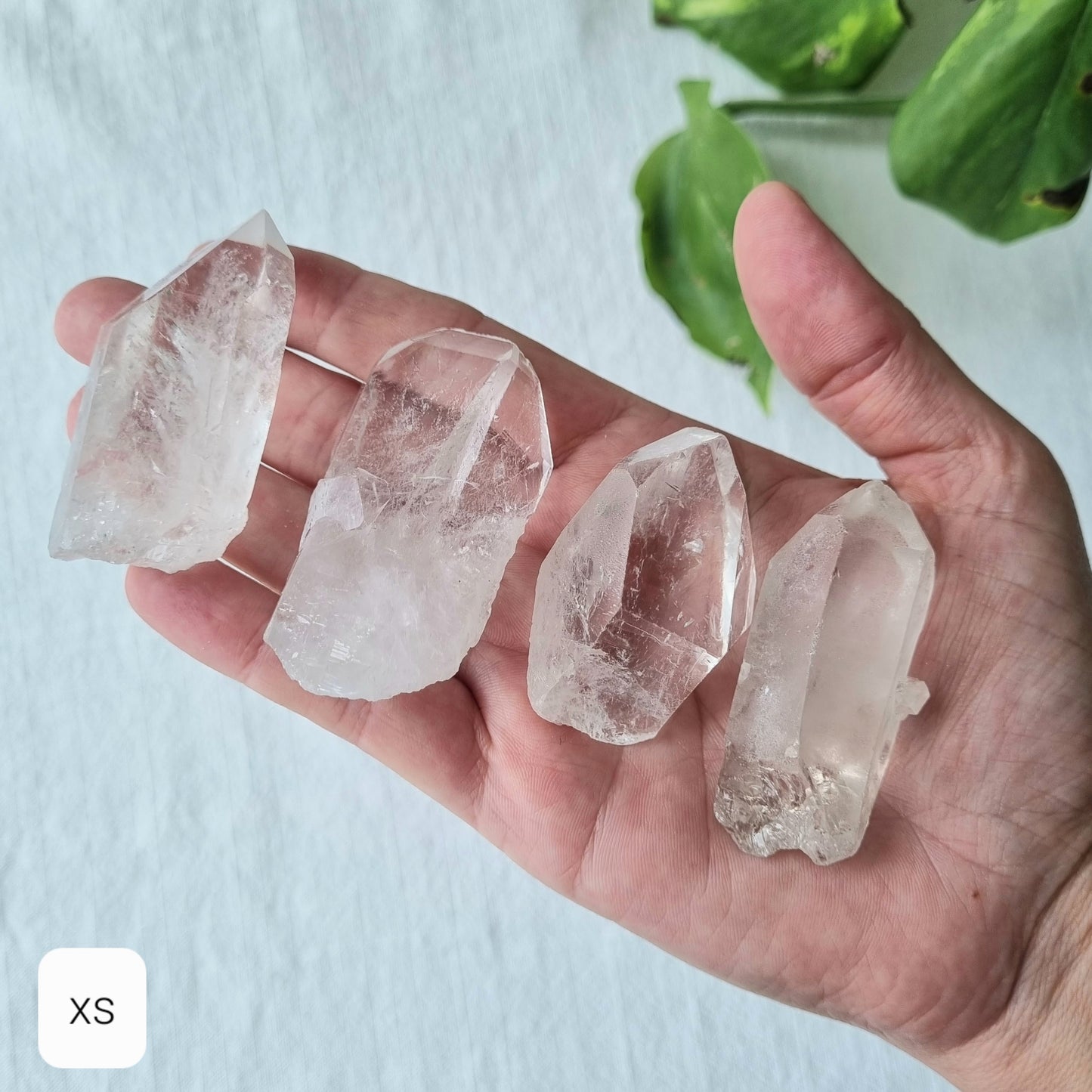 Clear quartz chunky point - Sparrow and Fox